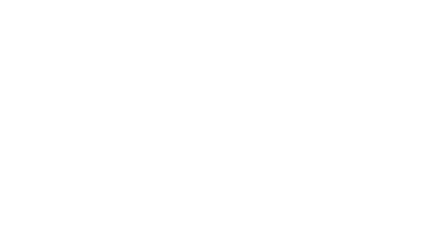 CyberInflight